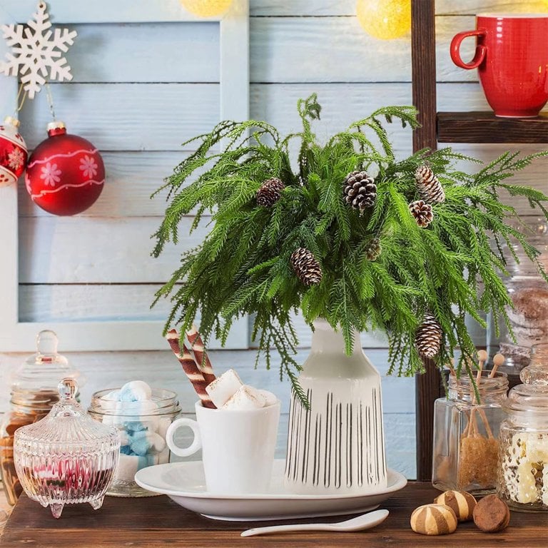 đVarhaisen Joulun Erikoistarjous 49 % đNorfolk Pine Branch