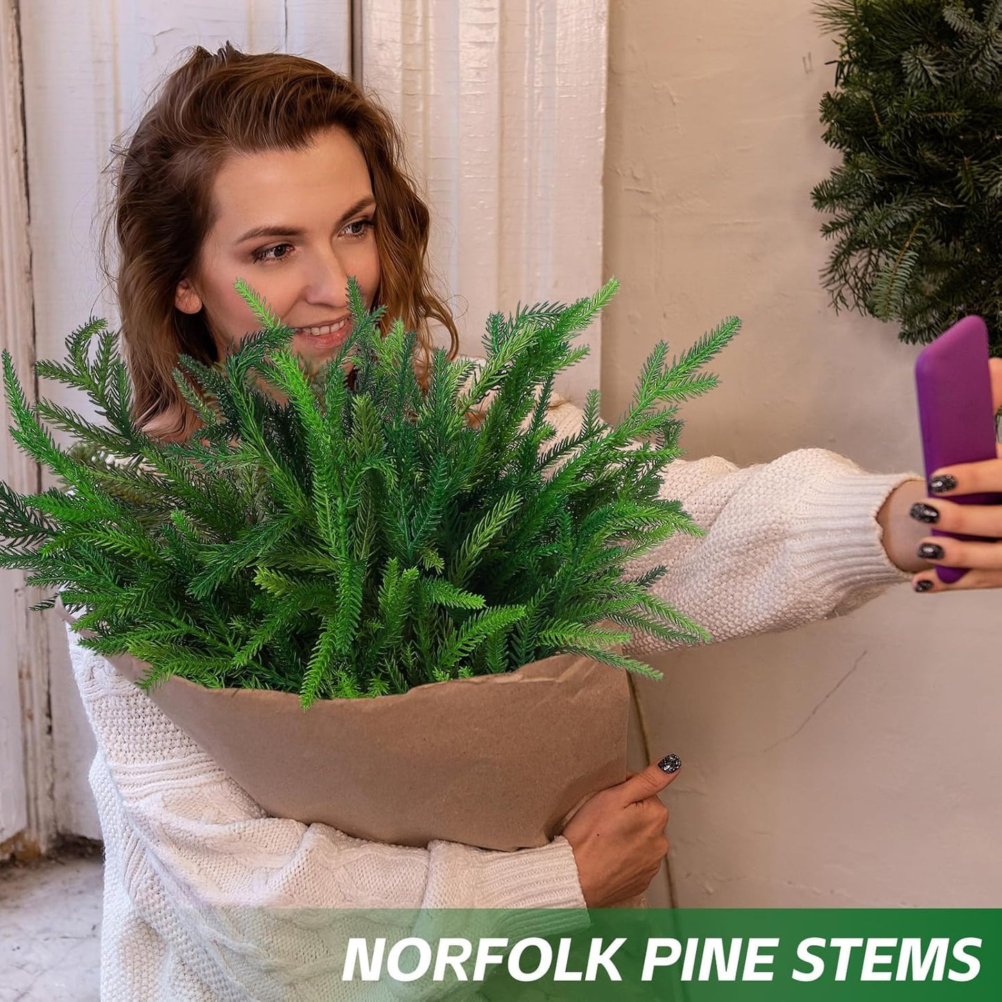 đVarhaisen Joulun Erikoistarjous 49 % đNorfolk Pine Branch
