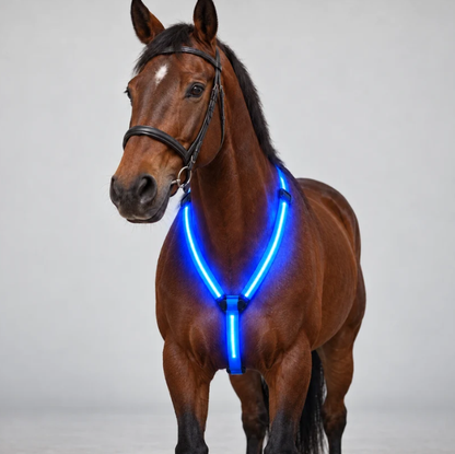 Lysende rideudstyrssæt 🐎✨
