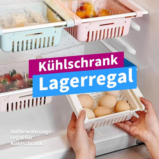Aufbewahrungsregal für Kühlschrank / Jääkaapin varastointiteline