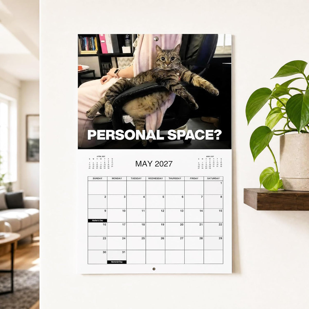 🏆 Sidste dag: Specialpris 169 kr.! 🗓️ PISSED-OFF CATS 😼💢 2027 Vægkalender – Sjov gave til katteelskere 🐾