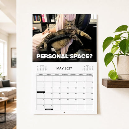 🏆 Sidste dag: Specialpris 169 kr.! 🗓️ PISSED-OFF CATS 😼💢 2027 Vægkalender – Sjov gave til katteelskere 🐾