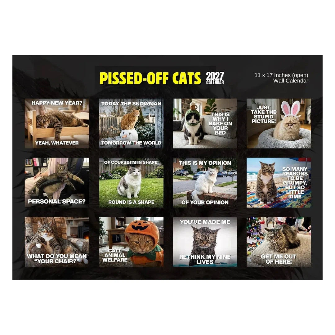 🏆 Sidste dag: Specialpris 169 kr.! 🗓️ PISSED-OFF CATS 😼💢 2027 Vægkalender – Sjov gave til katteelskere 🐾