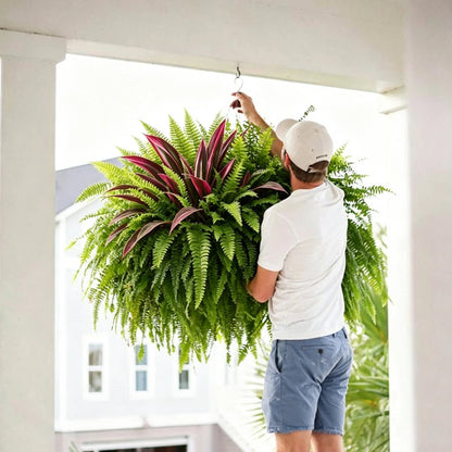 💥Sommertilbud🔥UV-resistente kunstige bregner & røde dracaena-planter – Fyldige, frodige & falmebestandige!