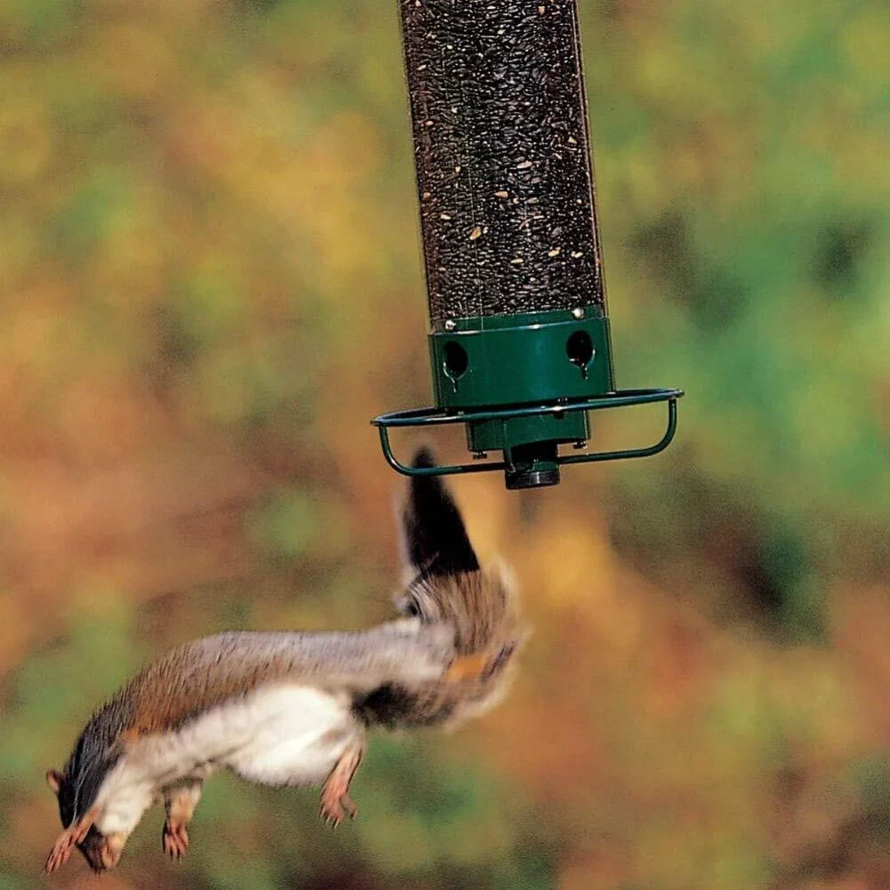 Oravan kestävä lintujen ruokkija