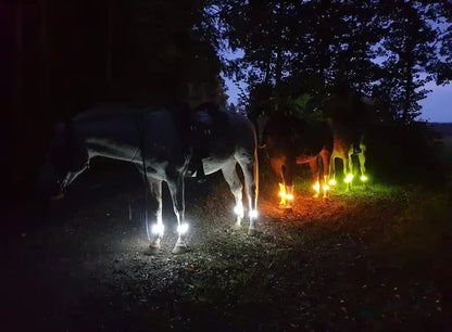 🐎 LED-lys til hestens ben – 4-pak | Lys til rideture i mørke ✨