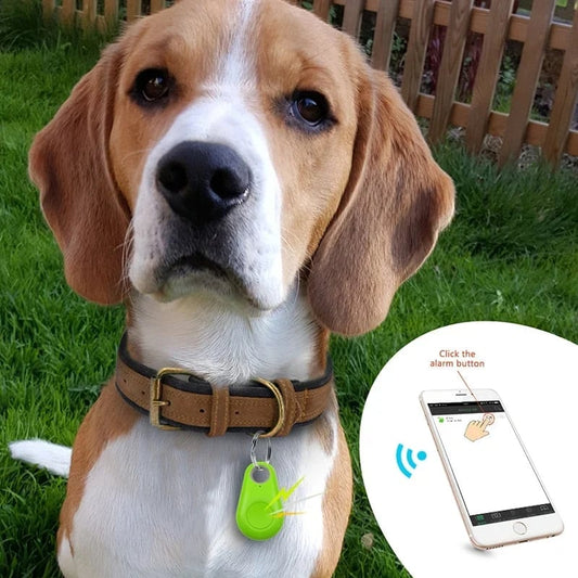 ✨Kuuma tarjous 49% ALOUS🐶Bluetooth- ja GPS-lemmikkiseuranta