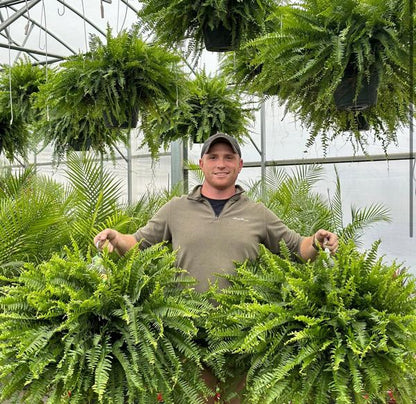 🌱 UV-resistent og virkelighedstro kunstig Boston-bregne