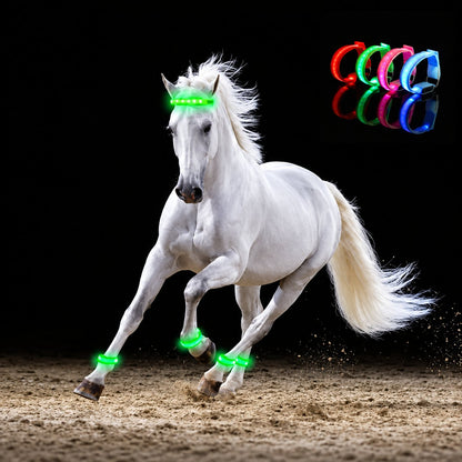 🐎 LED-lys til hestens ben – 4-pak | Lys til rideture i mørke ✨