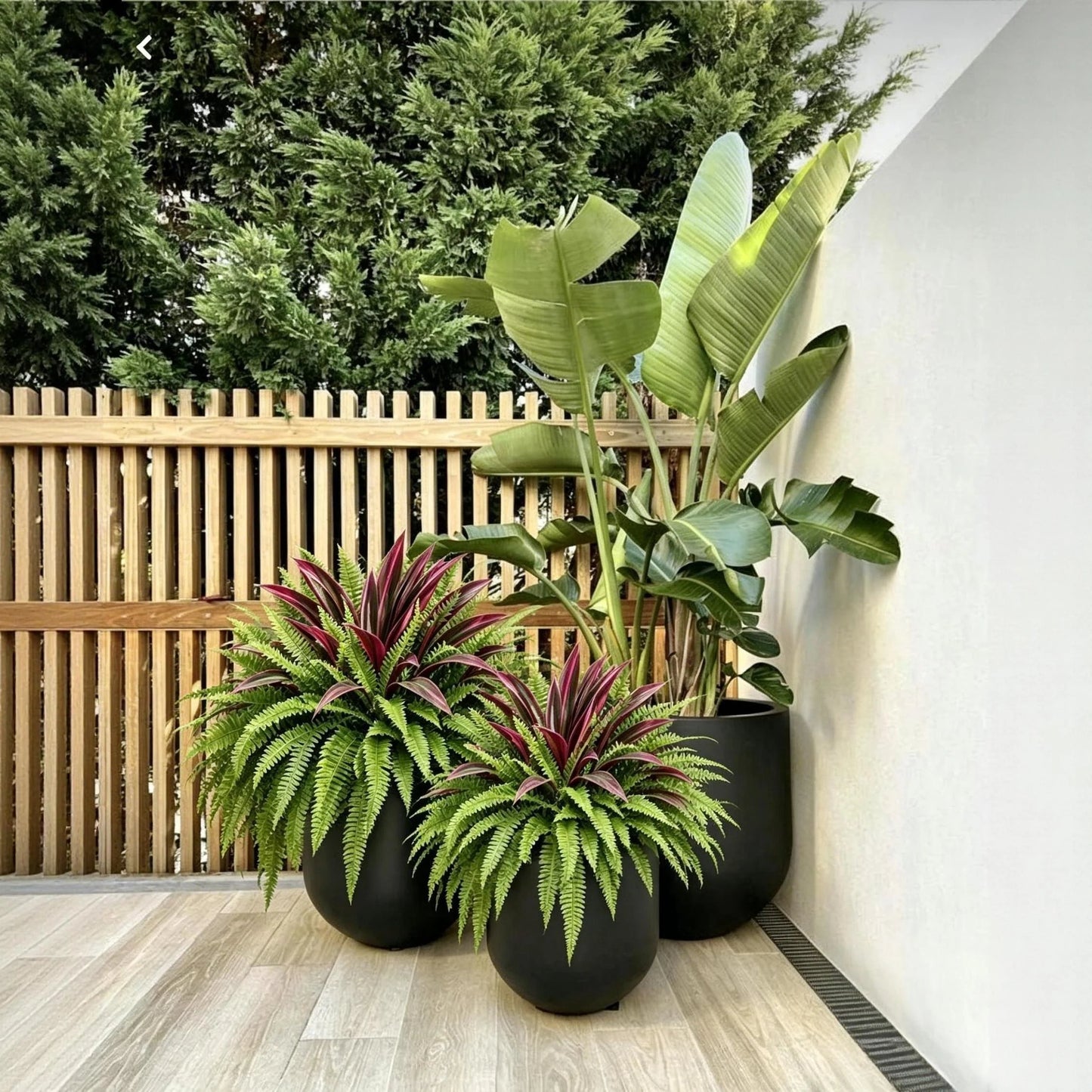 💥Sommertilbud🔥UV-resistente kunstige bregner & røde dracaena-planter – Fyldige, frodige & falmebestandige!